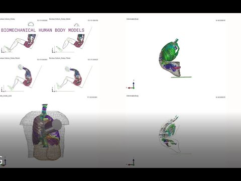 NTC - Biomechanical Human Body Models Team. ENG